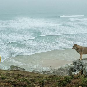 Foto O Livro dos Sonhos