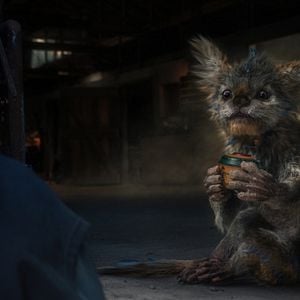 Foto Meu Amigo Lutcha