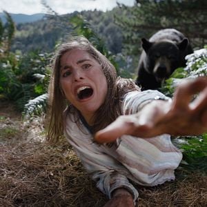 Foto Urso do Pó Branco