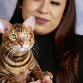 Foto Mascotes Extraordinários