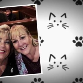 Foto Mascotes Extraordinários