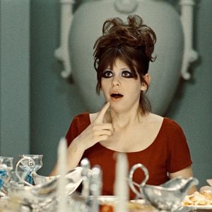 Foto As Pequenas Margaridas