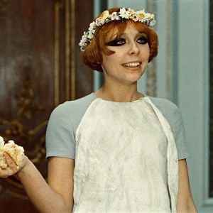 Foto As Pequenas Margaridas