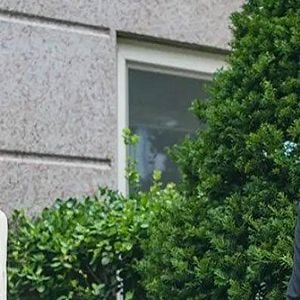 Foto Estranhos Novamente