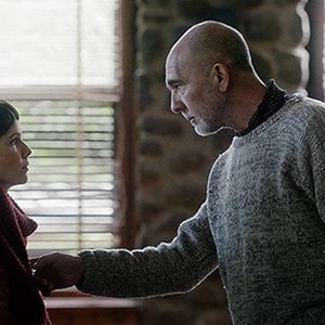 Foto Bem-Vinda, Violeta!