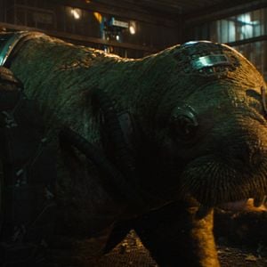 Foto Guardiões da Galáxia Vol. 3