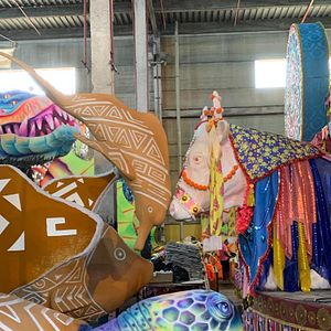 Foto Rosa – A narradora de outros Brasis