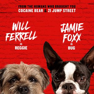 Foto Ruim pra Cachorro