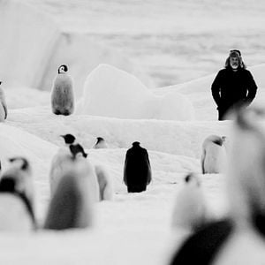 Foto Antártica: Continente Magnético