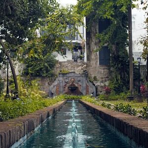 Foto Cristin Milioti