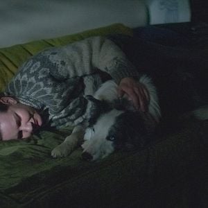 Foto Anatomia de uma Queda