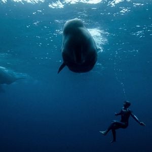 Foto De Tirar o Fôlego