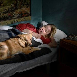 Foto Folhas de Outono