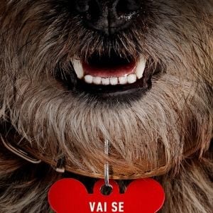 Foto Ruim pra Cachorro