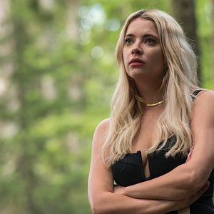 Foto Turismo Selvagem