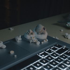 Foto Marcel, a Concha de Sapatos