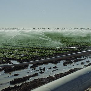 Foto Contaminação: A Verdade Sobre o que Comemos