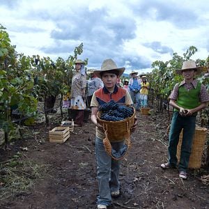 Foto Juan Pablo Monterrubio