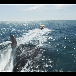 Foto O Demônio dos Mares