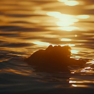 Foto Estranho Caminho