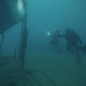 Foto Terror nas Profundezas