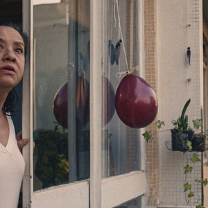 Foto Tudo o Que Cresce e Voa