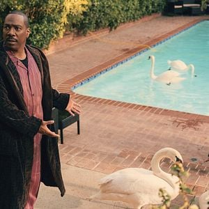 Foto A Batalha de Natal