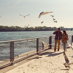 Foto A Natureza do Amor