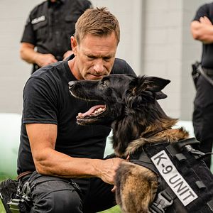 Foto Farejando Vingança