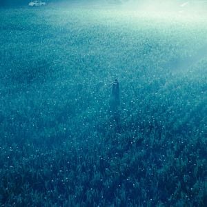 Foto Le Règne animal