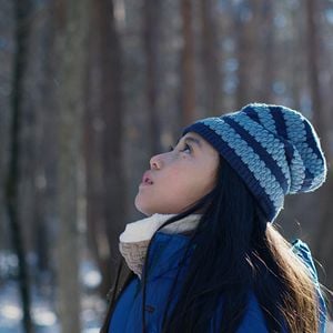 Foto O Mal Não Existe