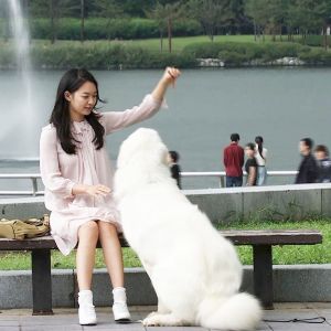 Foto Minha Namorada é uma Gumiho