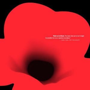 Foto Zona de Interesse