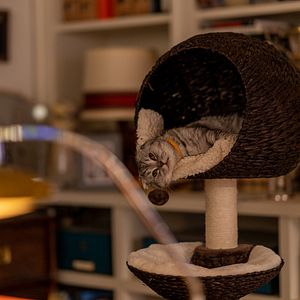 Foto Argylle - O Superespião