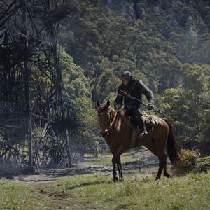 Foto Planeta dos Macacos: O Reinado