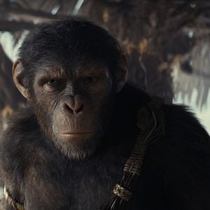 Foto Planeta dos Macacos: O Reinado