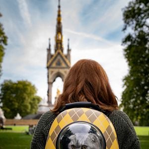 Foto Argylle - O Superespião