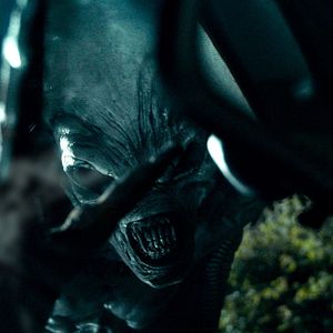 Foto O Predador Alienígena