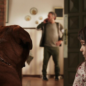 Foto O Mal que nos Habita