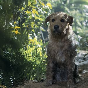 Foto Uma Prova de Coragem