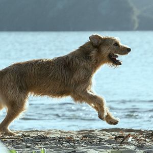 Foto Uma Prova de Coragem