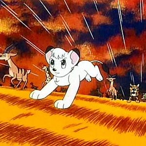 Foto Kimba, O Leão Branco