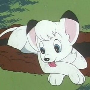 Foto Kimba, O Leão Branco