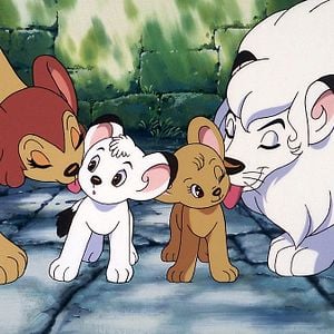 Foto Kimba, O Leão Branco