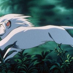 Foto Kimba, O Leão Branco