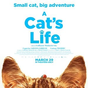 Foto A Cat's Life