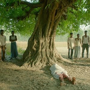 Foto Na Barriga de um Tigre