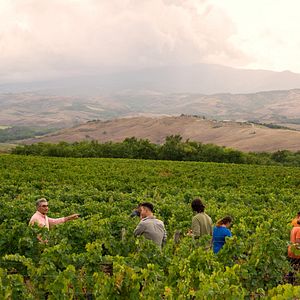 Foto O Viajante Relutante com Eugene Levy