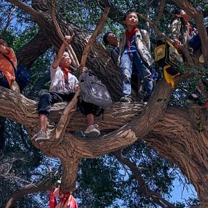 Foto Acima da Poeira