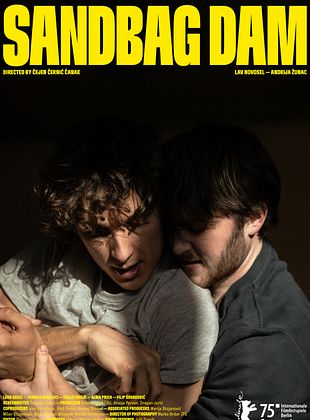 Pôster de Emoções Represadas